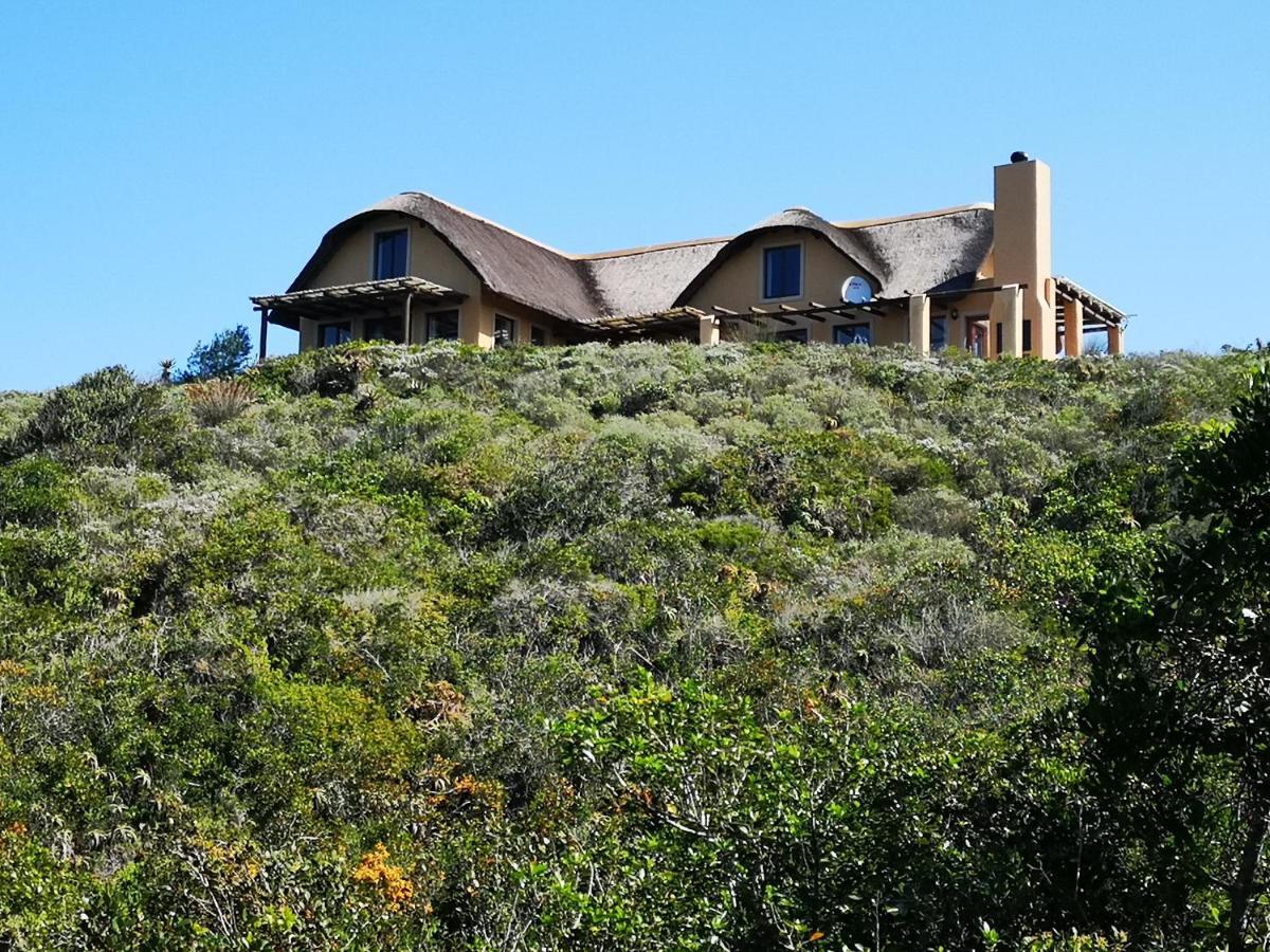 Ocean View Cottage, Springerbaai Boggomsbaai Экстерьер фото