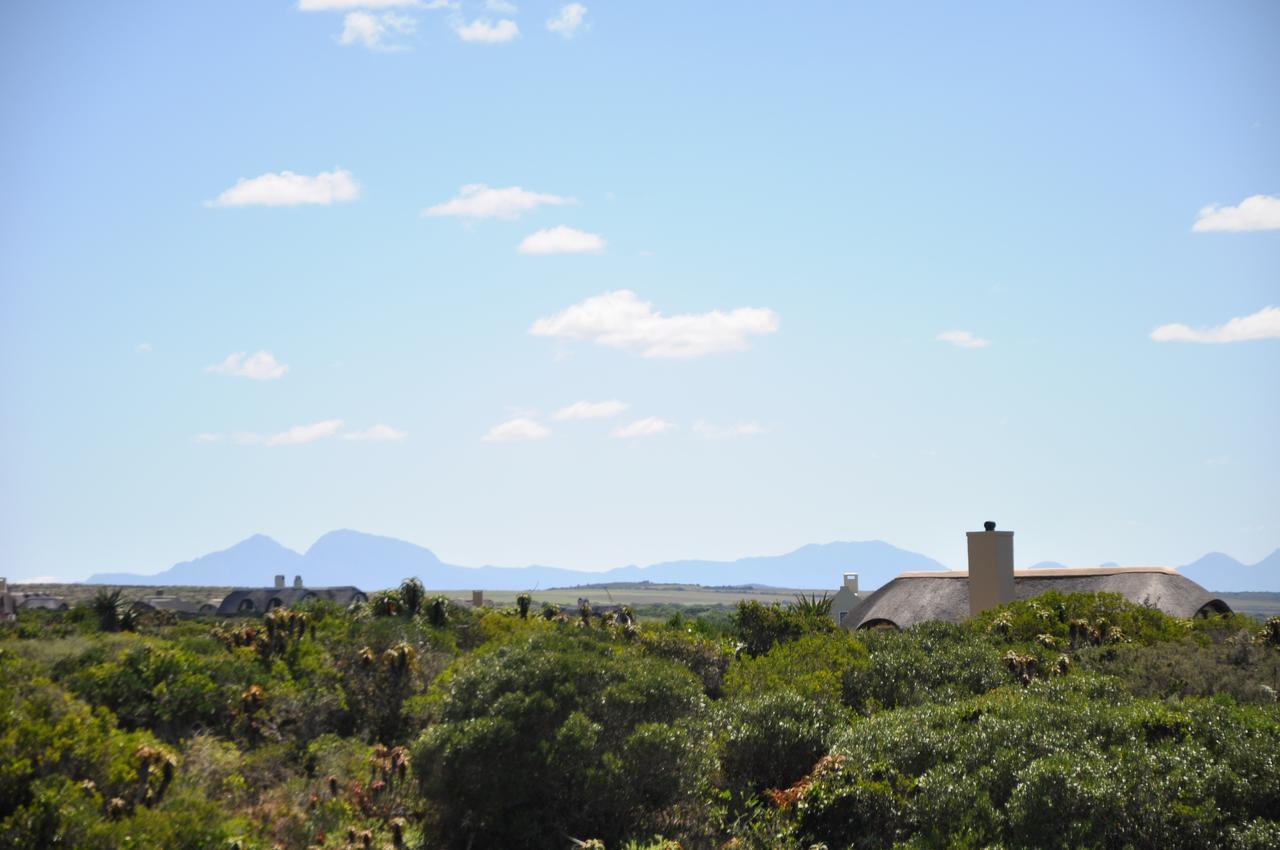 Ocean View Cottage, Springerbaai Boggomsbaai Экстерьер фото