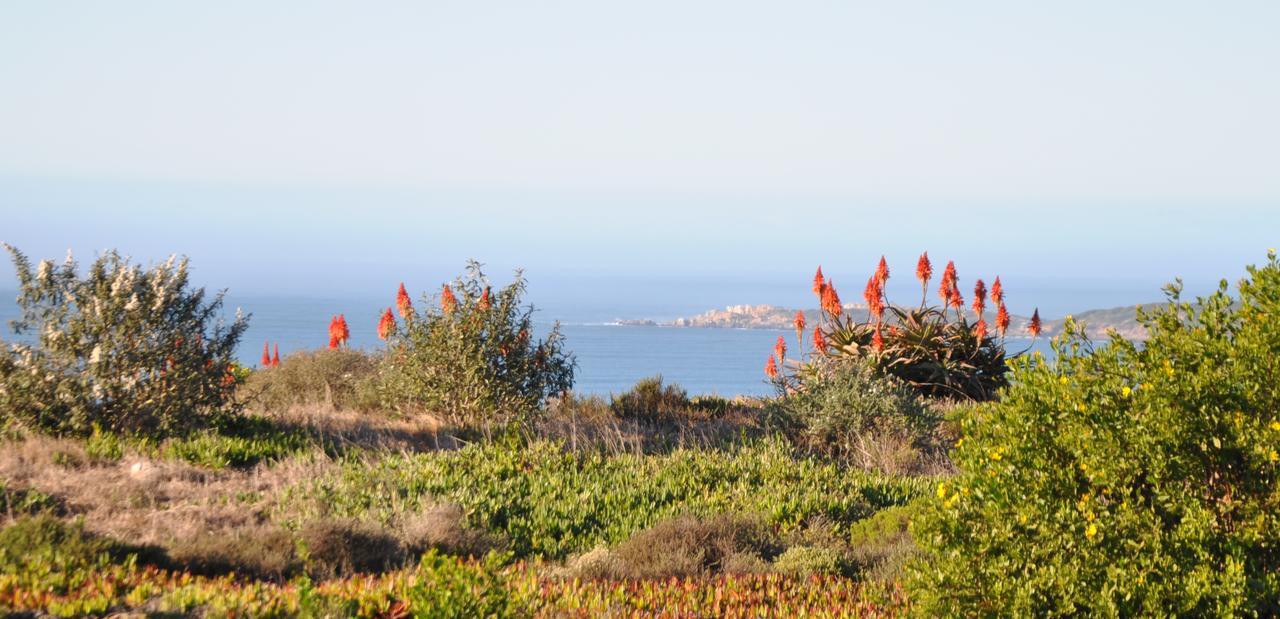 Ocean View Cottage, Springerbaai Boggomsbaai Экстерьер фото
